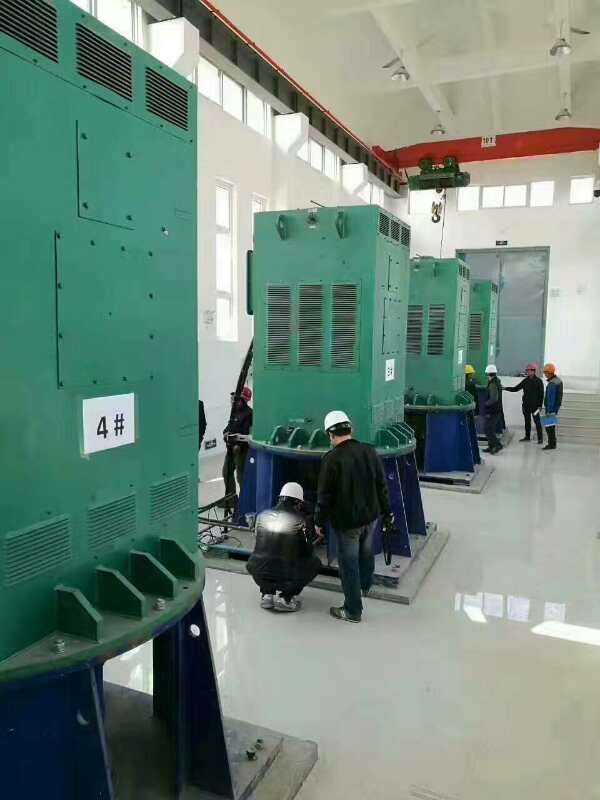 YKK4502-2GJ某污水处理厂使用我厂的立式高压电机安装现场