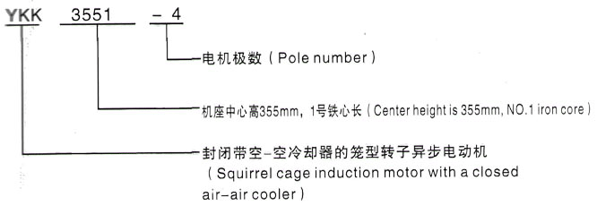 YKK系列(H355-1000)高压YKK4502-2GJ三相异步电机西安泰富西玛电机型号说明