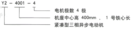 YR系列(H355-1000)高压YKK4502-2GJ三相异步电机西安西玛电机型号说明